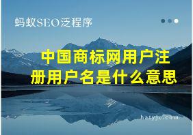 中国商标网用户注册用户名是什么意思