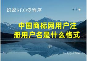 中国商标网用户注册用户名是什么格式