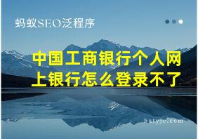 中国工商银行个人网上银行怎么登录不了