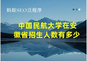 中国民航大学在安徽省招生人数有多少