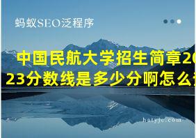 中国民航大学招生简章2023分数线是多少分啊怎么查