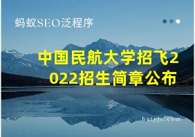 中国民航大学招飞2022招生简章公布