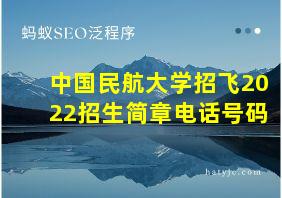 中国民航大学招飞2022招生简章电话号码