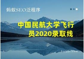 中国民航大学飞行员2020录取线