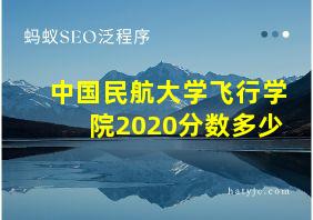 中国民航大学飞行学院2020分数多少