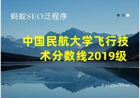 中国民航大学飞行技术分数线2019级