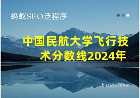 中国民航大学飞行技术分数线2024年