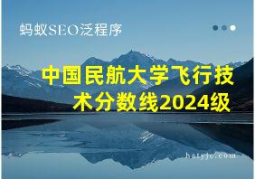 中国民航大学飞行技术分数线2024级