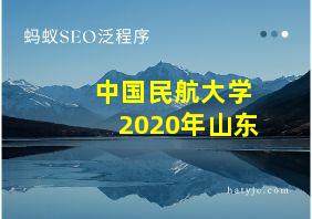 中国民航大学2020年山东