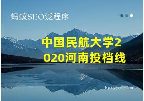 中国民航大学2020河南投档线