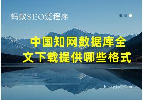 中国知网数据库全文下载提供哪些格式