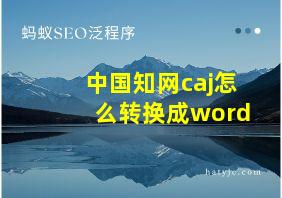 中国知网caj怎么转换成word