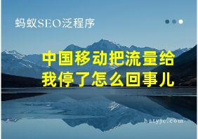 中国移动把流量给我停了怎么回事儿