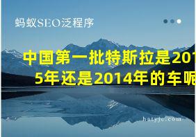 中国第一批特斯拉是2015年还是2014年的车呢