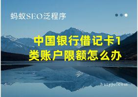 中国银行借记卡1类账户限额怎么办