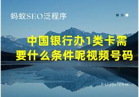 中国银行办1类卡需要什么条件呢视频号码