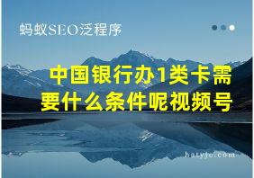 中国银行办1类卡需要什么条件呢视频号