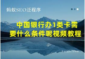 中国银行办1类卡需要什么条件呢视频教程