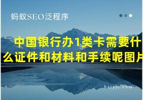 中国银行办1类卡需要什么证件和材料和手续呢图片