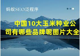 中国10大玉米种业公司有哪些品牌呢图片大全