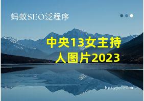 中央13女主持人图片2023