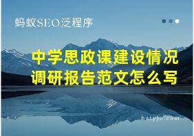 中学思政课建设情况调研报告范文怎么写