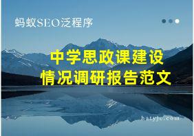 中学思政课建设情况调研报告范文