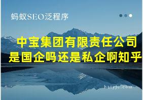 中宝集团有限责任公司是国企吗还是私企啊知乎