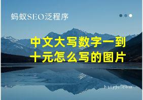 中文大写数字一到十元怎么写的图片