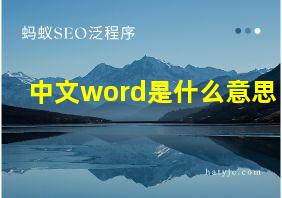 中文word是什么意思