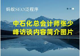 中石化总会计师张少峰访谈内容简介图片