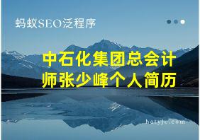 中石化集团总会计师张少峰个人简历