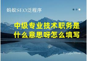 中级专业技术职务是什么意思呀怎么填写