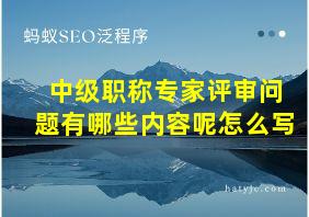 中级职称专家评审问题有哪些内容呢怎么写