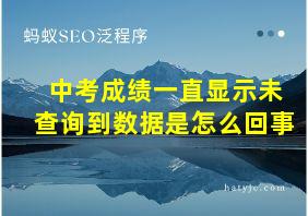 中考成绩一直显示未查询到数据是怎么回事