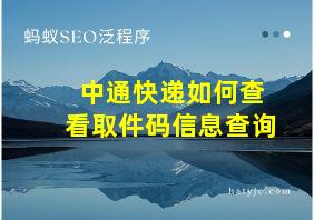 中通快递如何查看取件码信息查询