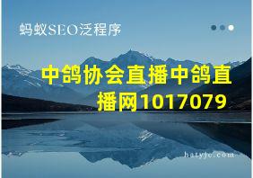 中鸽协会直播中鸽直播网1017079