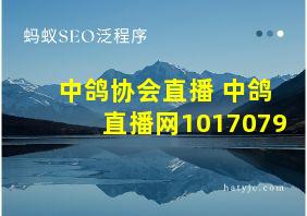 中鸽协会直播 中鸽直播网1017079