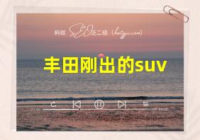 丰田刚出的suv