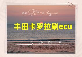 丰田卡罗拉刷ecu