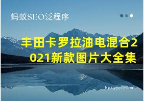 丰田卡罗拉油电混合2021新款图片大全集