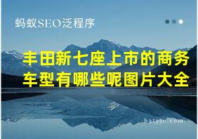 丰田新七座上市的商务车型有哪些呢图片大全