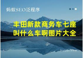 丰田新款商务车七座叫什么车啊图片大全