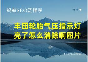 丰田轮胎气压指示灯亮了怎么消除啊图片