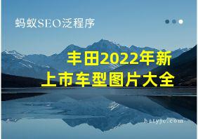 丰田2022年新上市车型图片大全