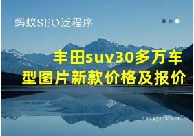 丰田suv30多万车型图片新款价格及报价