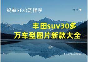 丰田suv30多万车型图片新款大全