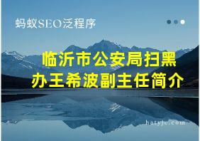 临沂市公安局扫黑办王希波副主任简介