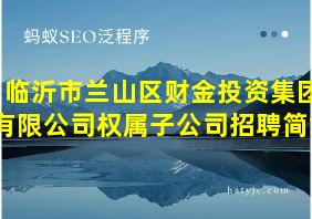 临沂市兰山区财金投资集团有限公司权属子公司招聘简章