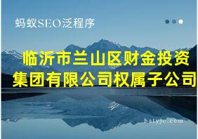 临沂市兰山区财金投资集团有限公司权属子公司